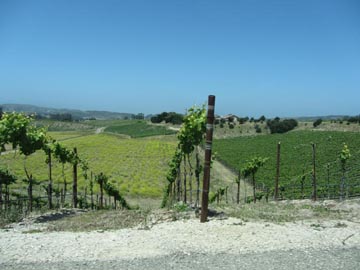 Babcock Winery, 5175 East Highway 246, Lompoc, California, May 18, 2012