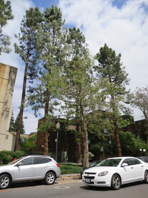 University Avenue, Palo Alto, California, May 14, 2012