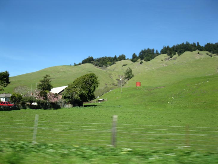 California State Route 116 Between Jenner and Duncans Mills, Sonoma County, California