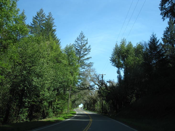 California State Route 116 Near Guerneville, Sonoma County, California