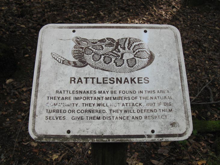 Rattlesnakes Warning, Jack London State Historic Park, Glen Ellen, California