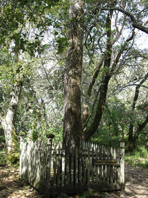 David and Lillie Greenlaw Gravesite, Jack London State Historic Park, Glen Ellen, California