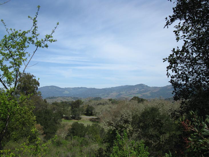 View From Lower Parking Lot, Jack London State Historic Park, Glen Ellen, California