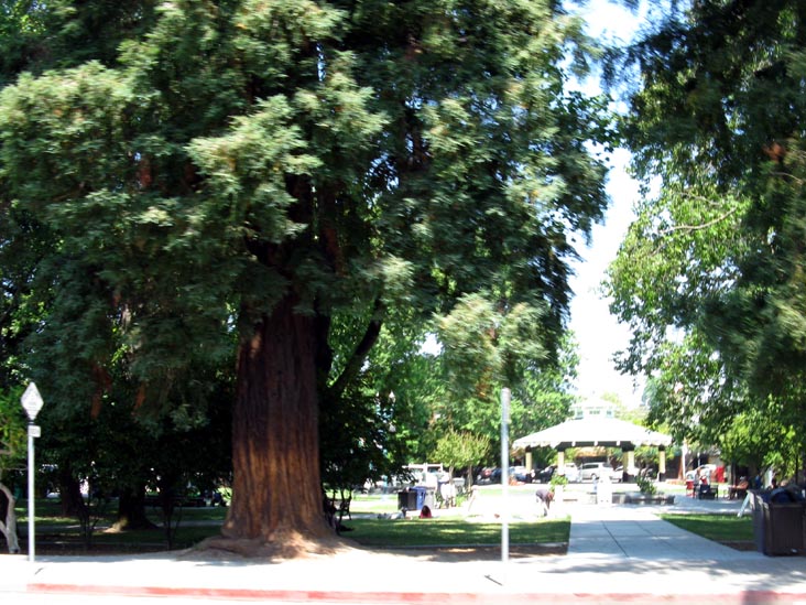 Plaza Park, Healdsburg Avenue, Healdsburg, California