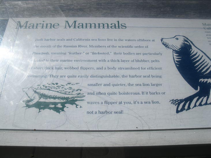 Marine Mammals Interpretive Sign, Jenner Visitor Center, Sonoma Coast State Park, Sonoma County, California