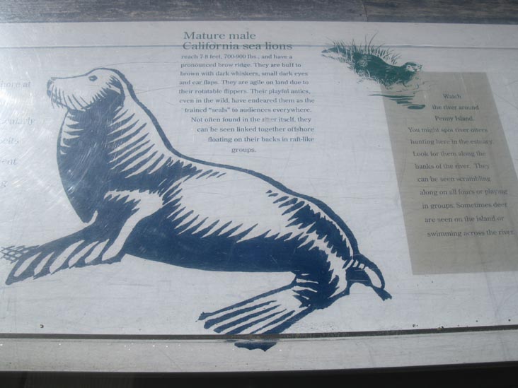 Sea Lion Interpretive Sign, Jenner Visitor Center, Sonoma Coast State Park, Sonoma County, California