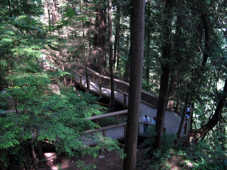 Cliffhanger Boardwalk, Rainforest, Capilano Suspension Bridge, North Vancouver, BC, Canada