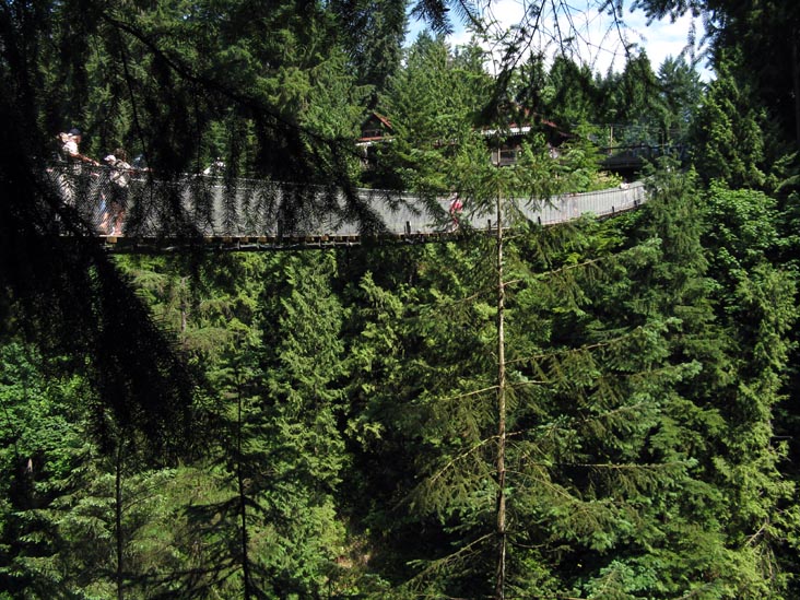 Suspension Bridge From Cliffhanger Boardwalk, Rainforest, Capilano Suspension Bridge, North Vancouver, BC, Canada