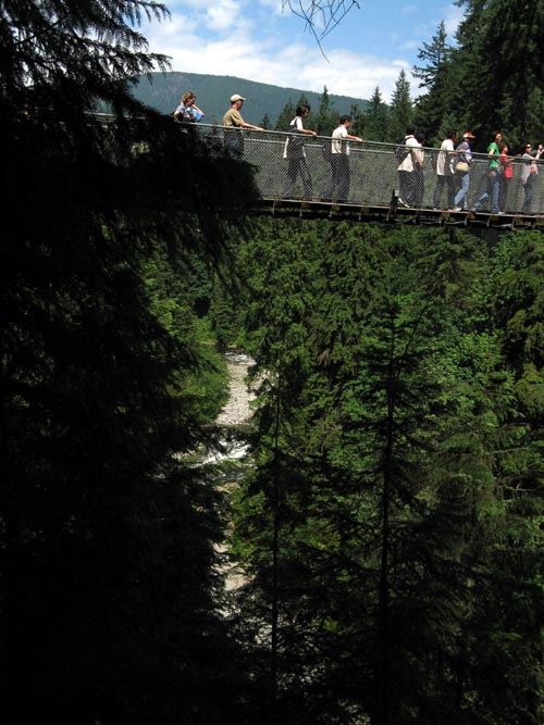 Suspension Bridge From Cliffhanger Boardwalk, Rainforest, Capilano Suspension Bridge, North Vancouver, BC, Canada