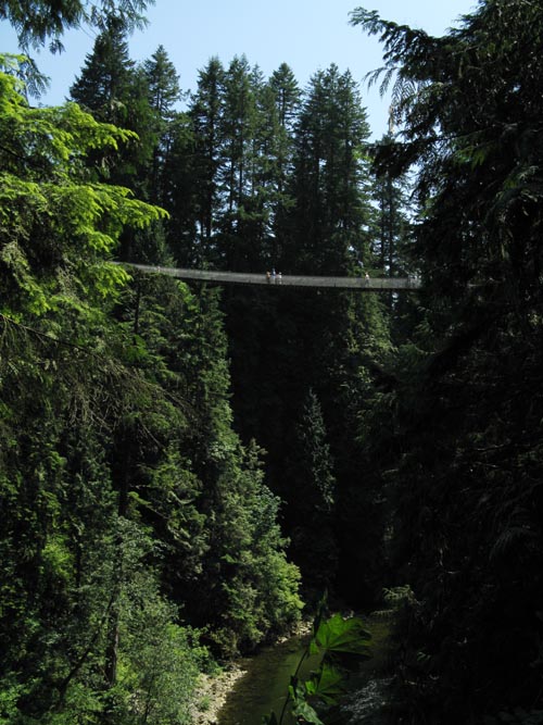 Suspension Bridge From Observation Deck, Cliffhanger Boardwalk, Rainforest, Capilano Suspension Bridge, North Vancouver, BC, Canada