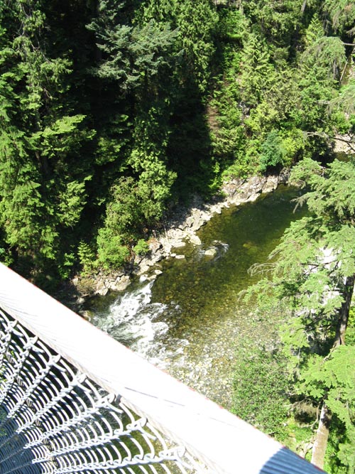 Capilano River From Capilano Suspension Bridge, North Vancouver, BC, Canada