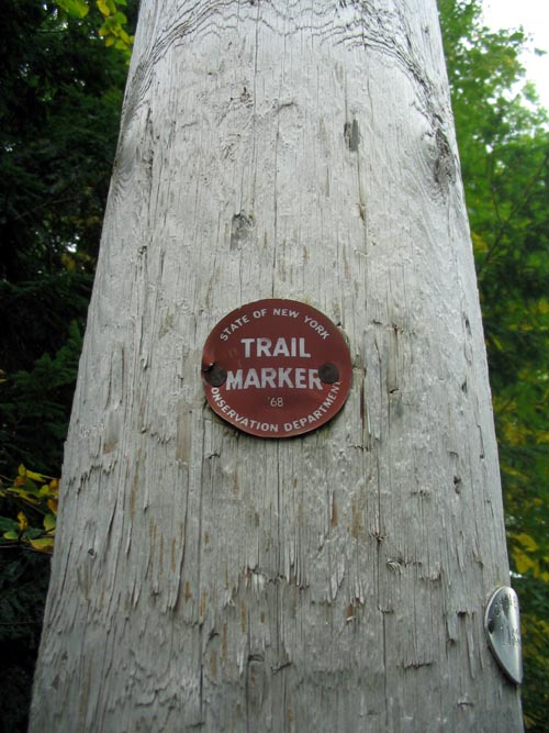 Overlook Red Trail, Overlook Mountain, Woodstock, New York