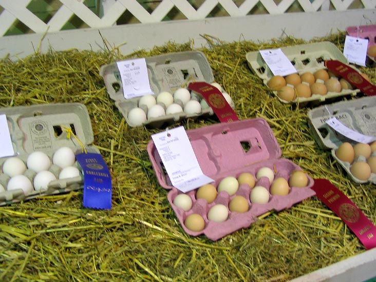 Eggs, Cobleskill Fair, Cobleskill Fairgrounds, Cobleskill, New York
