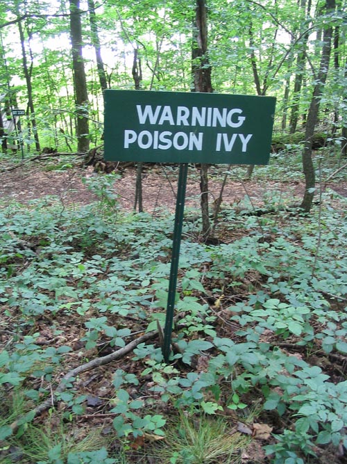 Poison Ivy Warning, Woods, Goodyear Swamp Sanctuary, Otsego Lake, New York