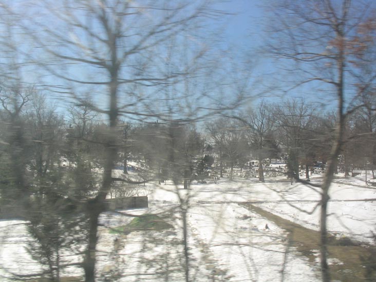 Westchester County Trees from a New Haven-Bound Metro-North Train