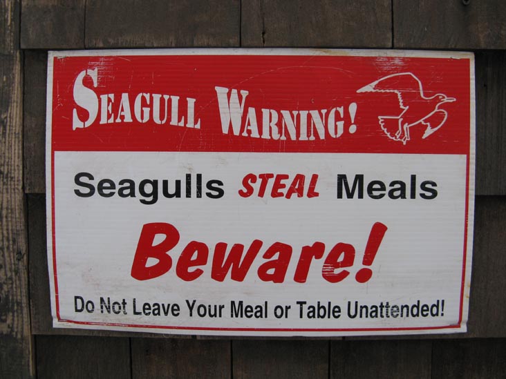 Seagull Warning, Abbott's Lobster in the Rough, 117 Pearl Street, Noank, Connecticut