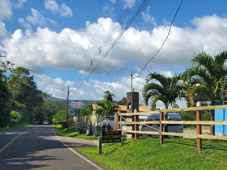 Camino al Parque Near Spring Paradise Bijagua, Bijagua, Costa Rica, December 30, 2021