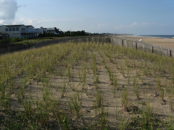 Dunes, Beach Near Ocean View Parkway, Bethany Beach, Delaware, August 29, 2009