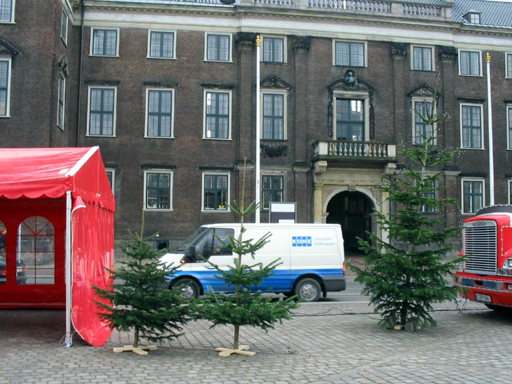 Christmas Trees, Kongens Nytorv (King's New Square), Copenhagen, Denmark