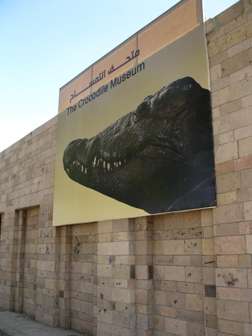 Crocodile Museum, Kom Ombo Temple, Kom Ombo, Egypt