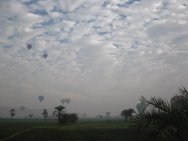 Hot-Air Balloons Near Colossi of Memnon, West Bank, Luxor, Egypt