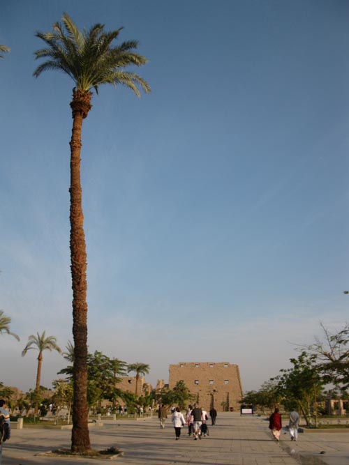 View Toward First Pylon, Temple of Amun, Karnak Temple Complex, Luxor, Egypt