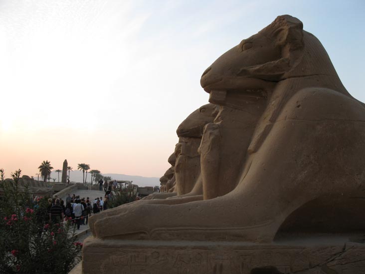 Sphinxes, Temple of Amun, Karnak Temple Complex, Luxor, Egypt