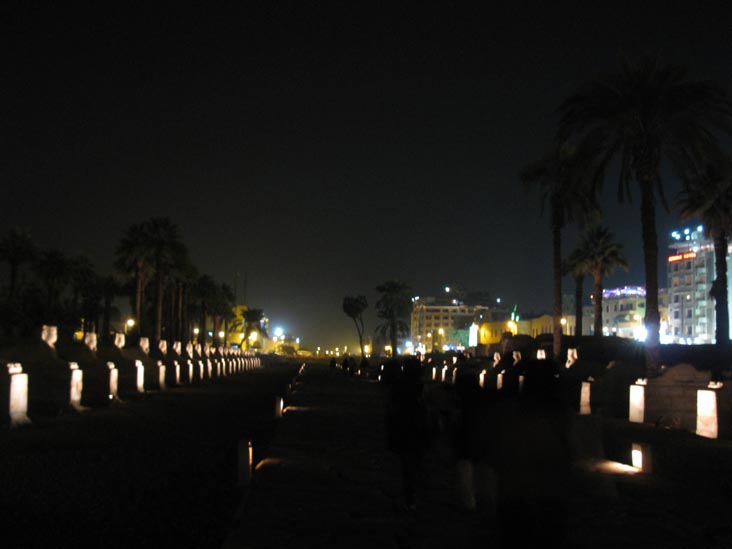 Avenue of the Sphinxes, Luxor Temple, Luxor, Egypt