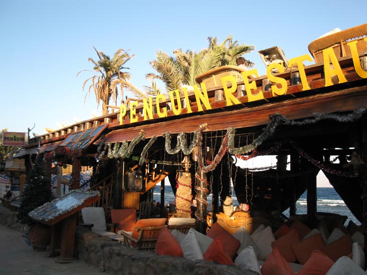 Penguin Restaurant, Mashraba Waterfront Promenade, Dahab, Sinai, Egypt