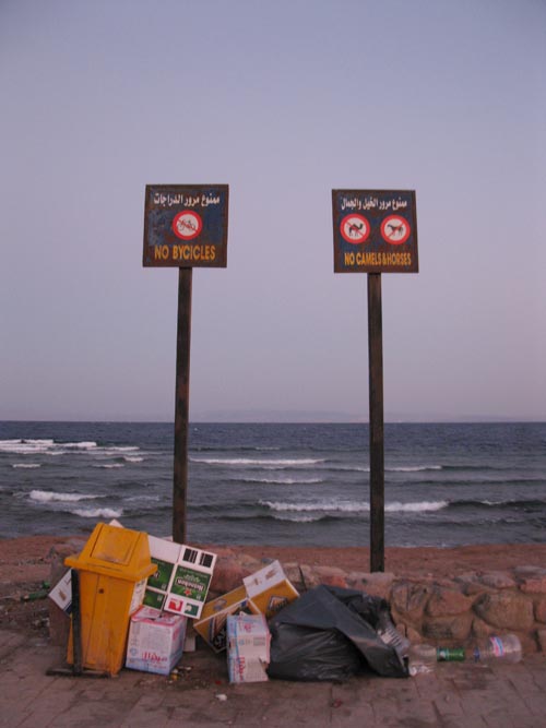 No Bicycles/No Camels & Horses Signs, Mashraba Waterfront Promenade, Dahab, Sinai, Egypt