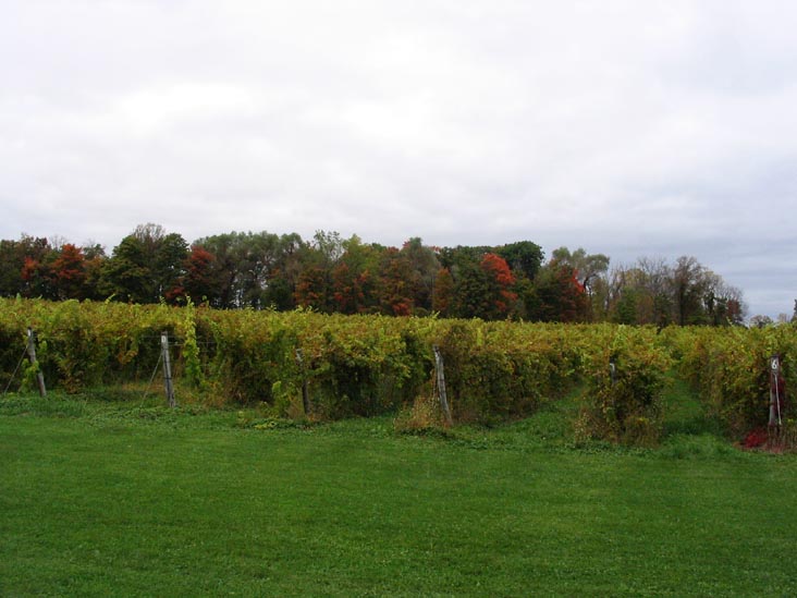 Hosmer Winery, 6999 Route 89, Ovid, New York