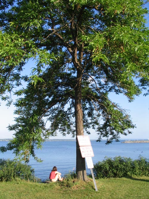 Seneca Lake From Lakeshore Park, Geneva, New York