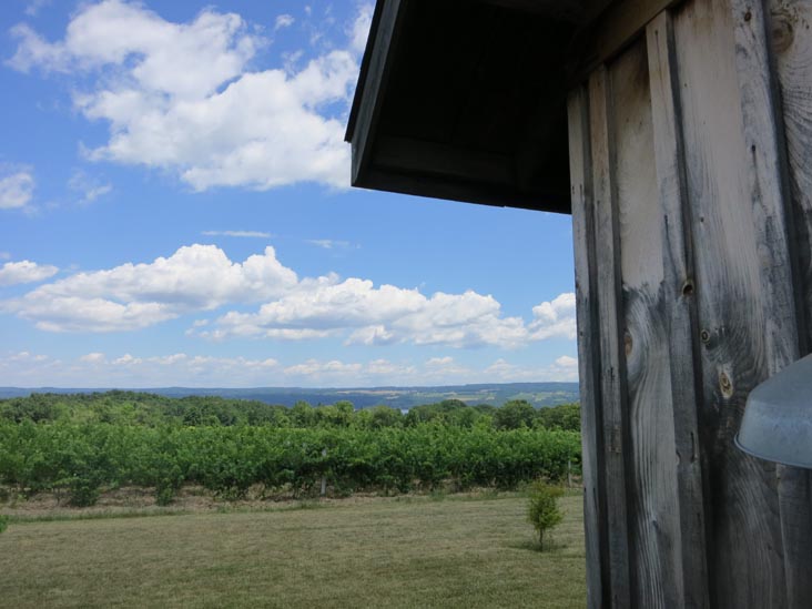 Shaw Vineyard, 3901 State Route 14, Himrod, New York