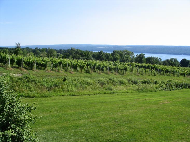 Standing Stone Vineyards, 9934 Route 414, Hector, New York, July 16, 2006