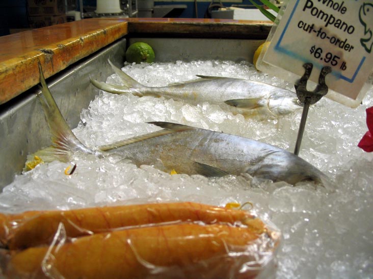 Pompano, Market, Star Fish Company, 12306 46th Avenue West, Cortez, Florida