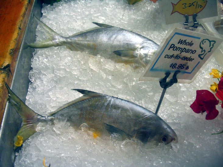 Pompano, Market, Star Fish Company, 12306 46th Avenue West, Cortez, Florida