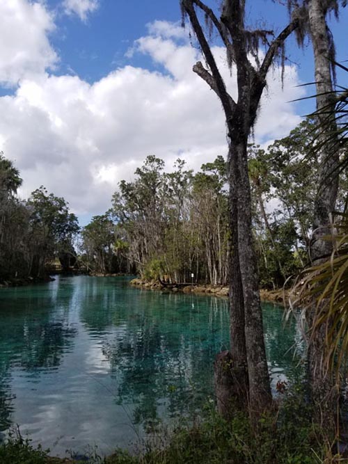 Three Sisters Springs, Crystal Springs, Florida, February 20, 2019