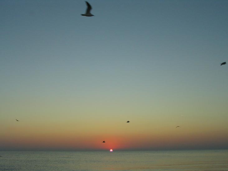 Sunset, Longboat Key, Florida, November 11, 2007, 5:41 p.m.