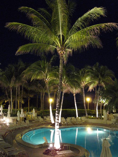 Pool Area From Preston's Brasserie, Loews Miami Beach Hotel, 1601 Collins Avenue, South Beach, Miami, Florida