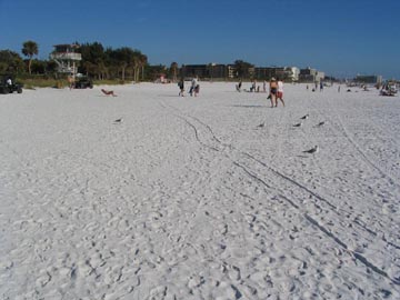 Siesta Key Public Beach, Siesta Key, Florida