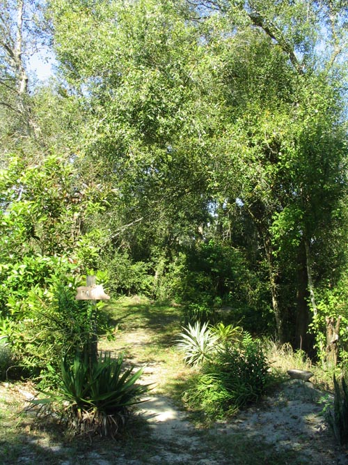 Nature Path, Solomon's Castle, 4533 Solomon Road, Ona, Florida, November 10, 2007