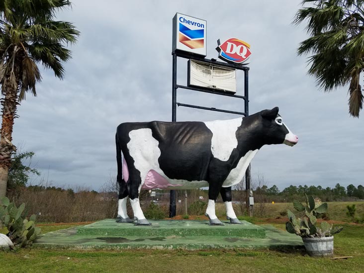 Cow, 2005 North Street, Ashburn, Georgia, February 21, 2019