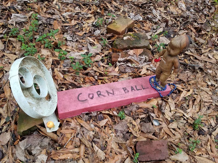 Doll's Head Trail, Constitution Lakes Park, Atlanta, Georgia, February 22, 2019