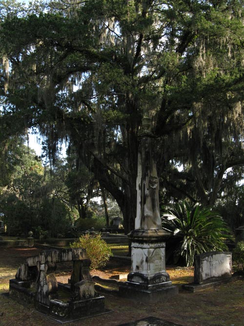 Kuck Family Plot, Bonaventure Cemetery, Savannah, Georgia