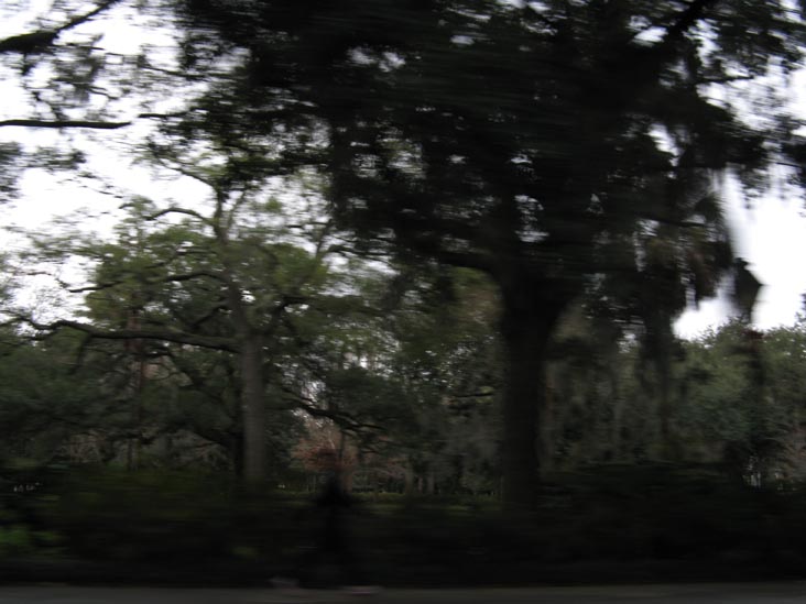 Forsyth Park From Drayton Street, Savannah, Georgia