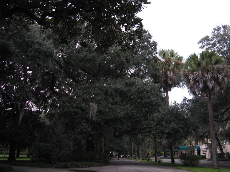 Drayton Street and Gaston Street, SW Corner, Forsyth Park, Savannah, Georgia
