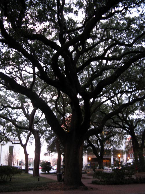 Johnson Square, Savannah, Georgia