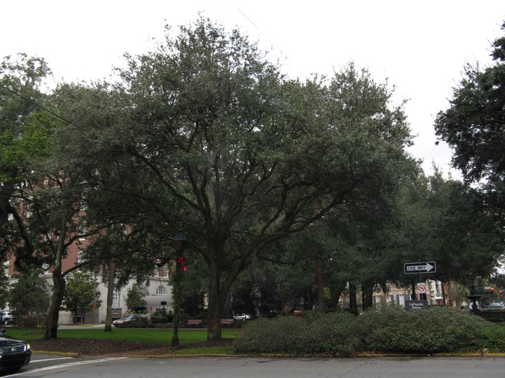 Lafayette Square From Abercorn Street and Charlton Street, Savannah, Georgia