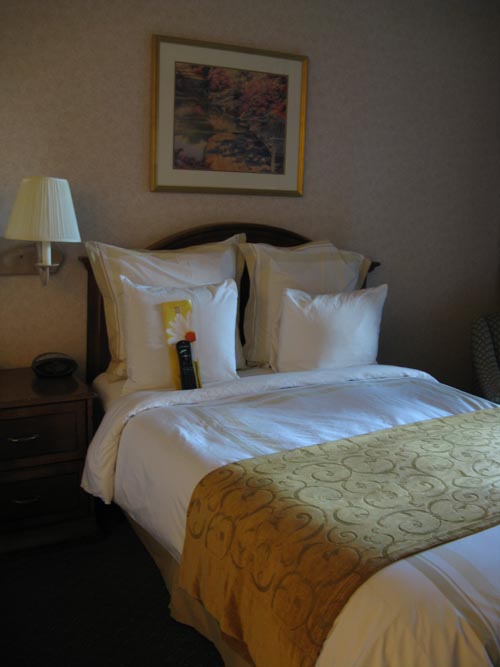 Room 461, Savannah Marriott Riverfront, 100 General McIntosh Boulevard, Savannah, Georgia