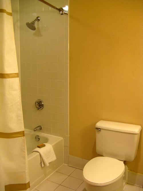 Bathroom, Room 461, Savannah Marriott Riverfront, 100 General McIntosh Boulevard, Savannah, Georgia